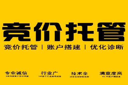 SEM托管公司案例：优化与增长